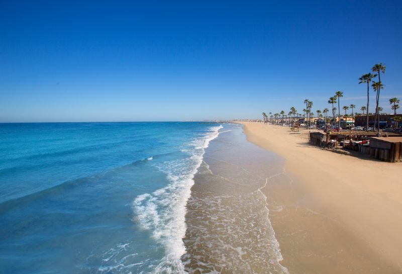 newport beach in california with palm trees